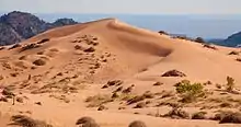 A photo of dunes in Coral Pink Sand Dunes State Park with off-road vehicle tracks on the dunes