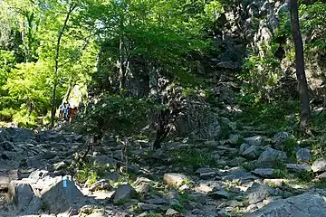 Trail crosses stream near downstream end