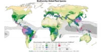 The first detailed world map of biodiversity of plants 1996 shows the global distribution of plants