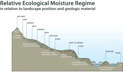 Landscape profile showing soil moisture regime categories along a gradient from rock hilltop to valley bottom