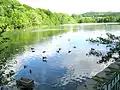 Marlfield lake, a wildlife sanctuary.