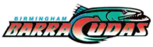 Team logo