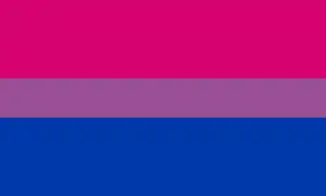 The Bisexual flag, a simple horizontal triband.