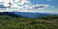 View from the peak of Black Balsam