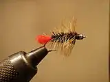 Black and Brown Beadhead Woolly Worm