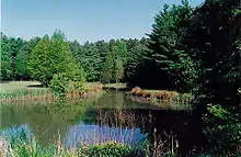 Image 14The Blackbird Pond on the Blackbird State Forest Meadows Tract in New Castle County, Delaware (from Delaware)