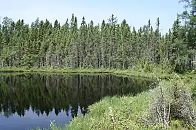 Image 31Blackjack Springs Wilderness, in the Chequamegon–Nicolet National Forest. (from Geography of Wisconsin)