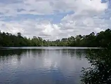 Black Park lake