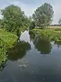 River Chelmer near Papermill Lock, Little Baddow