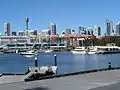 Blackwattle Bay, marina area