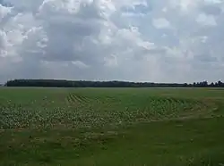 Farms and woods cover much of Blanchard Township.