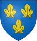 Coat of arms of Fiac