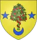 Coat of arms of Pomeys