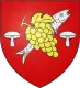 Coat of arms of Noyers-sur-Cher