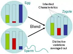 Image 9Blending Inheritance (from History of genetics)