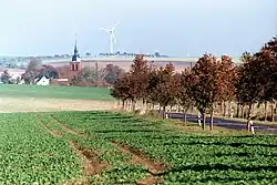 View towards Hedersleben