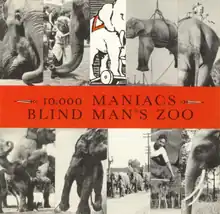 The cover is a montage of photos of elephants