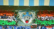 Blue Pilgrims, 3D tifo