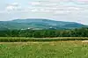 View of a distant tree-covered mountain with fields and forests in the foreground