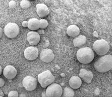 "Blueberries" (hematite spheres) on a rocky outcrop at Eagle Crater. Note the merged triplet in the upper left.