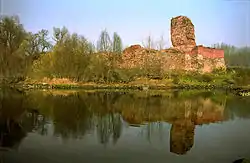 Ruins of the castle