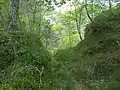 Mount Tavagnone, passage on the trail in the Droanello Valley