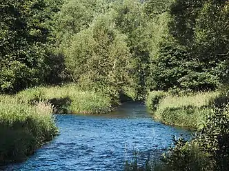 Confluence of the Warme Bode (left) and Kalte Bode (right) near Königshütte