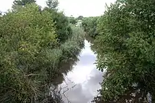 The Boekenhoutspruit, seen here at Dinokeng, is a right bank tributary