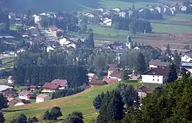 A general view of Bois-d'Amont