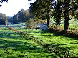 The rural landscape of Boischaut south of Reigny, near to the hamlet of Maugenest