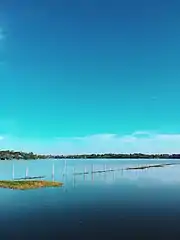 Prawn Fishing on Bolgoda Lake