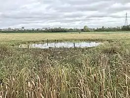 circular pond in a grassy field