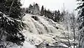 Bond Falls in January