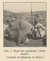 Photograph of an animal statue head