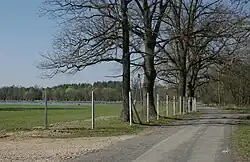 Road through the village