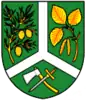 Coat of arms of Borová Lada