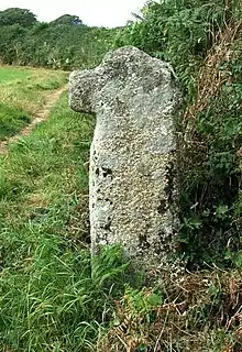 Fig. d21: Boscathnoe Cross