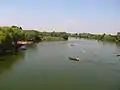 Swimmers on the Bosut river