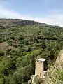 Tbilisi Botanical Garden and the ruins of Narikala