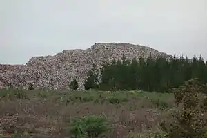 Demolition material from the 2011 Christchurch earthquake piled up in Bottle Lake Forest