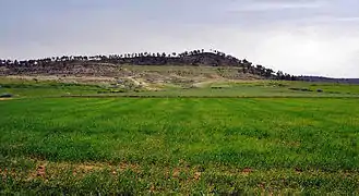 View of 'point 171' from the dry Wadi