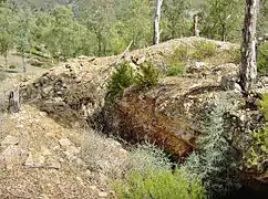 Remnant of Trench at 'Point 171' facing towards 'Point 226'