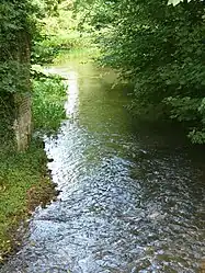 The Trois Doms [fr] river in Bouillancourt