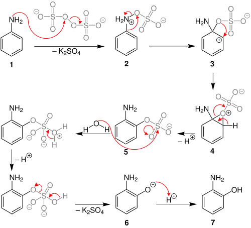 The mechanism of the Boyland-Sims oxidation