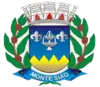 Official seal of Monte Sião