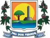 Official seal of Pau dos Ferros