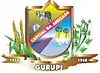 Official seal of Gurupi