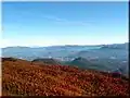 Viewing North Carolina from Brasstown Bald