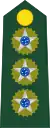 Colonel