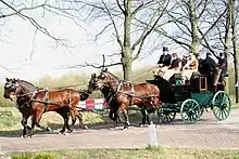 A team of four bay (brown with black mane and tail) horses trotting along a cobblestone path with trees and fields in the background. They are pulling a green carriage in which several people ride.